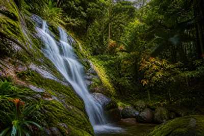 Wallpaper de cachoeira na Mata Atlântica