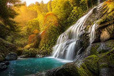 Cachoeira na mata atlantica ao amanhecer