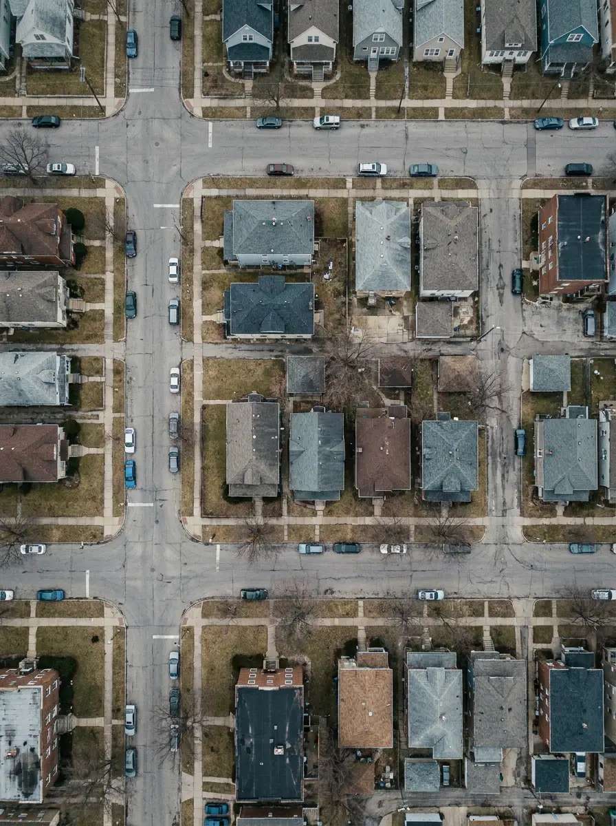 Antes — Gato gigante na cidade