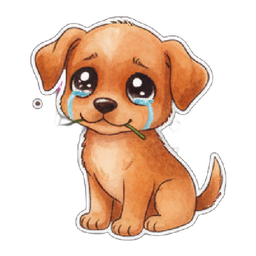 Me desculpa? 🥺
